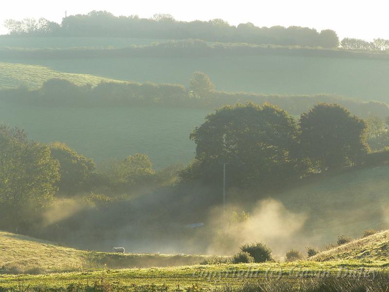 Early morning, near Beaminster P1150529.JPG